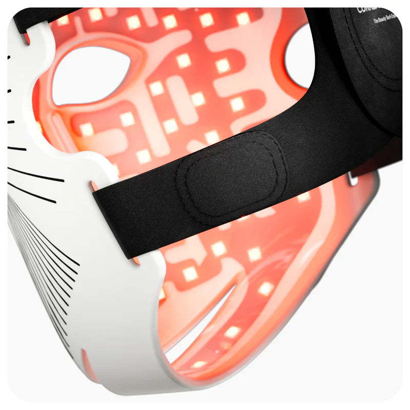 LED Mask